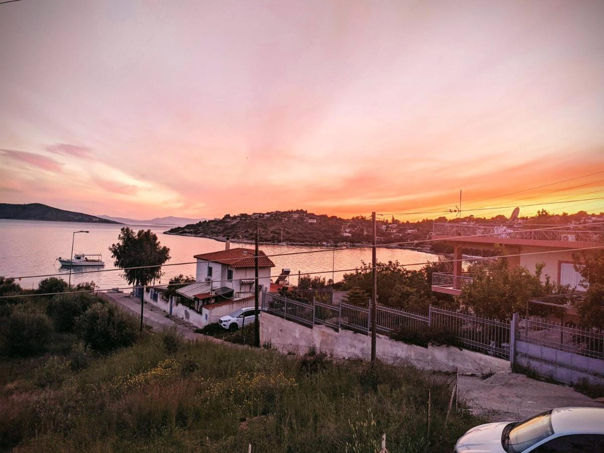 Iliakti Relaxing Seaside Villa Salamis Bagian luar foto