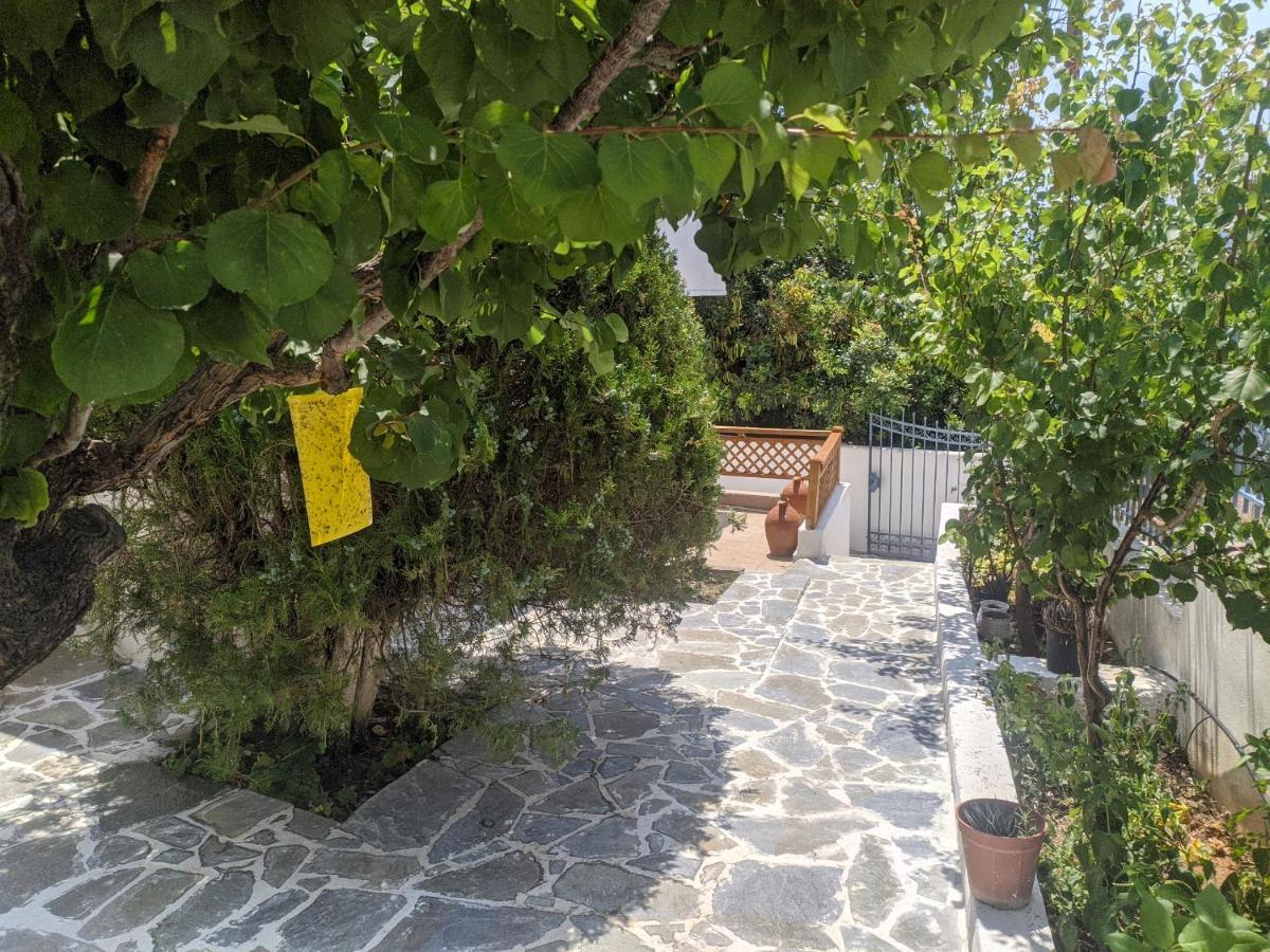 Iliakti Relaxing Seaside Villa Salamis Bagian luar foto