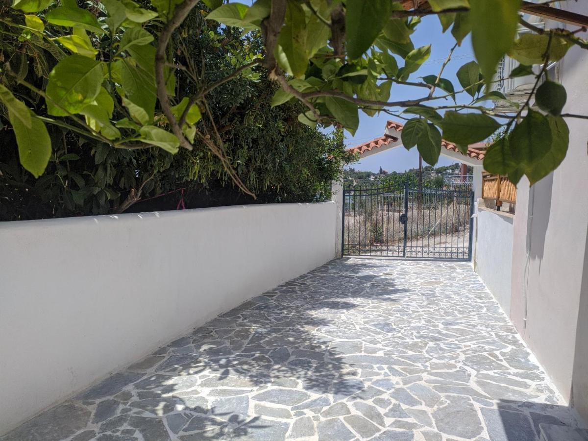 Iliakti Relaxing Seaside Villa Salamis Bagian luar foto